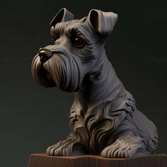 Zwergschnauzer dog